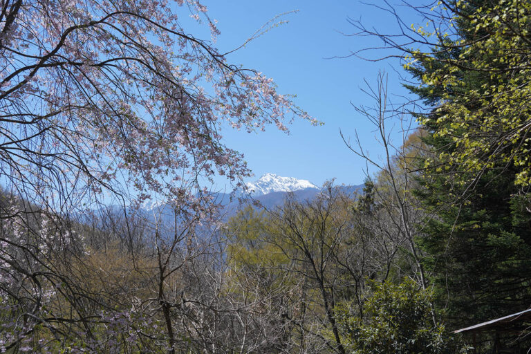 蔵松園から見た南アルプス